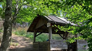 House | View from property - Ferienhaus in Wieda mit Garten (Walkenried)