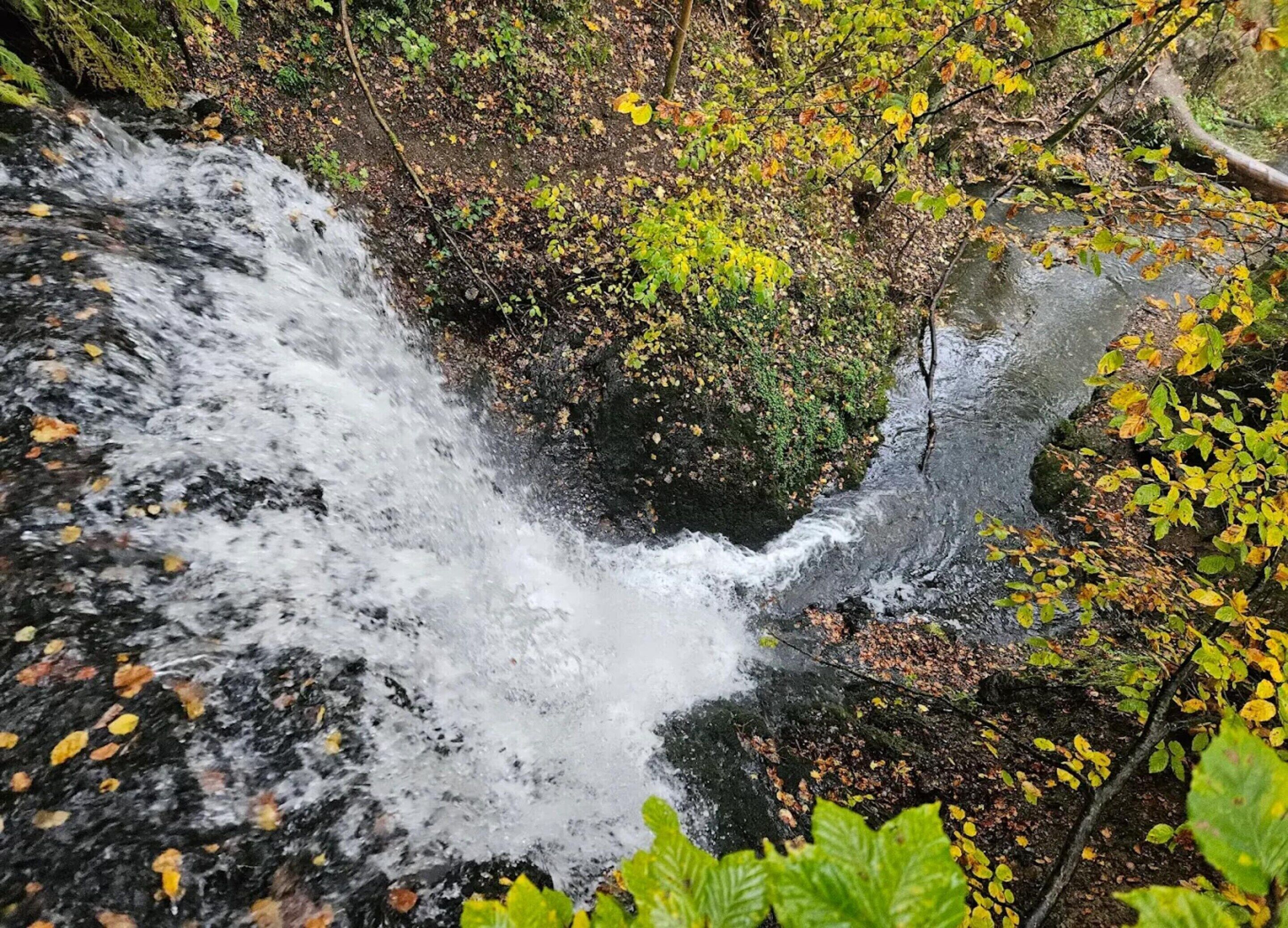 Ein Wasserfall inmitten eines bewaldeten Gebietes mit dichtem Blätterwerk und felsigem Gelände.