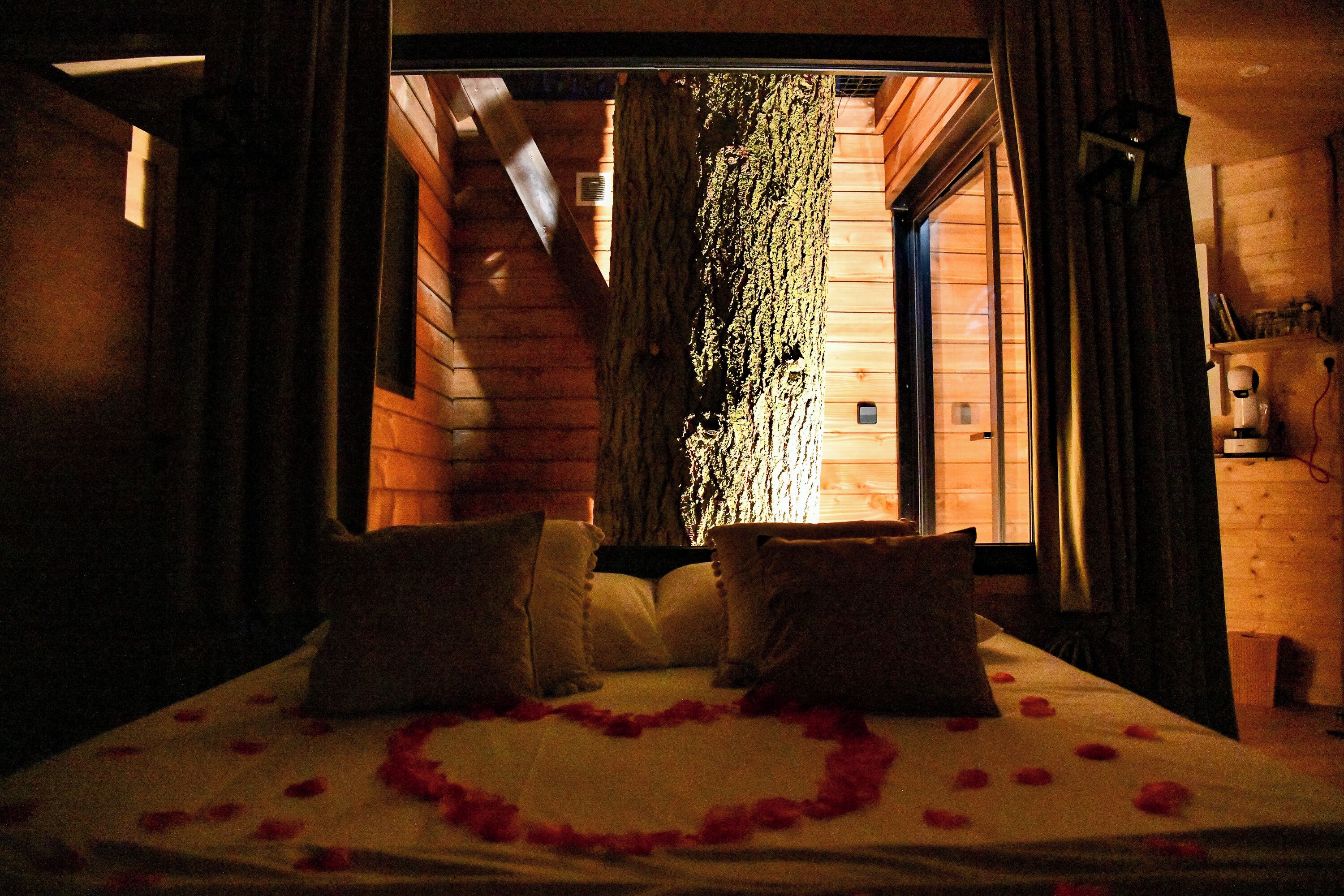 Une pièce chaleureuse avec un lit, des oreillers et une décoration en forme de cœur faite de pétales de rose.