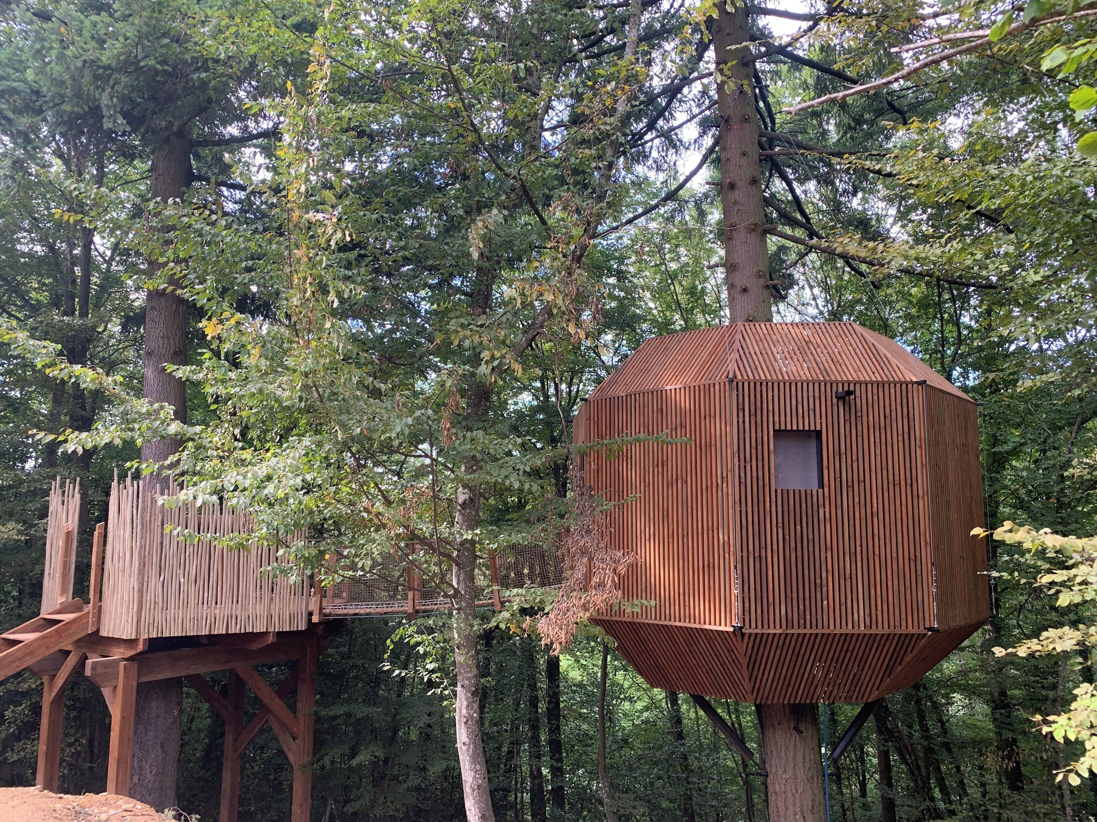 Deux cabanes perchées dans les arbres, situées au cœur d’une forêt : l’une est dotée d’une plateforme en bois, et l’autre présente une structure hexagonale.