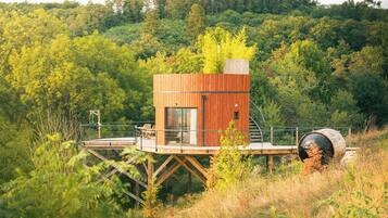 Cabin, 1 Queen Bed, Valley View | 1 bedroom