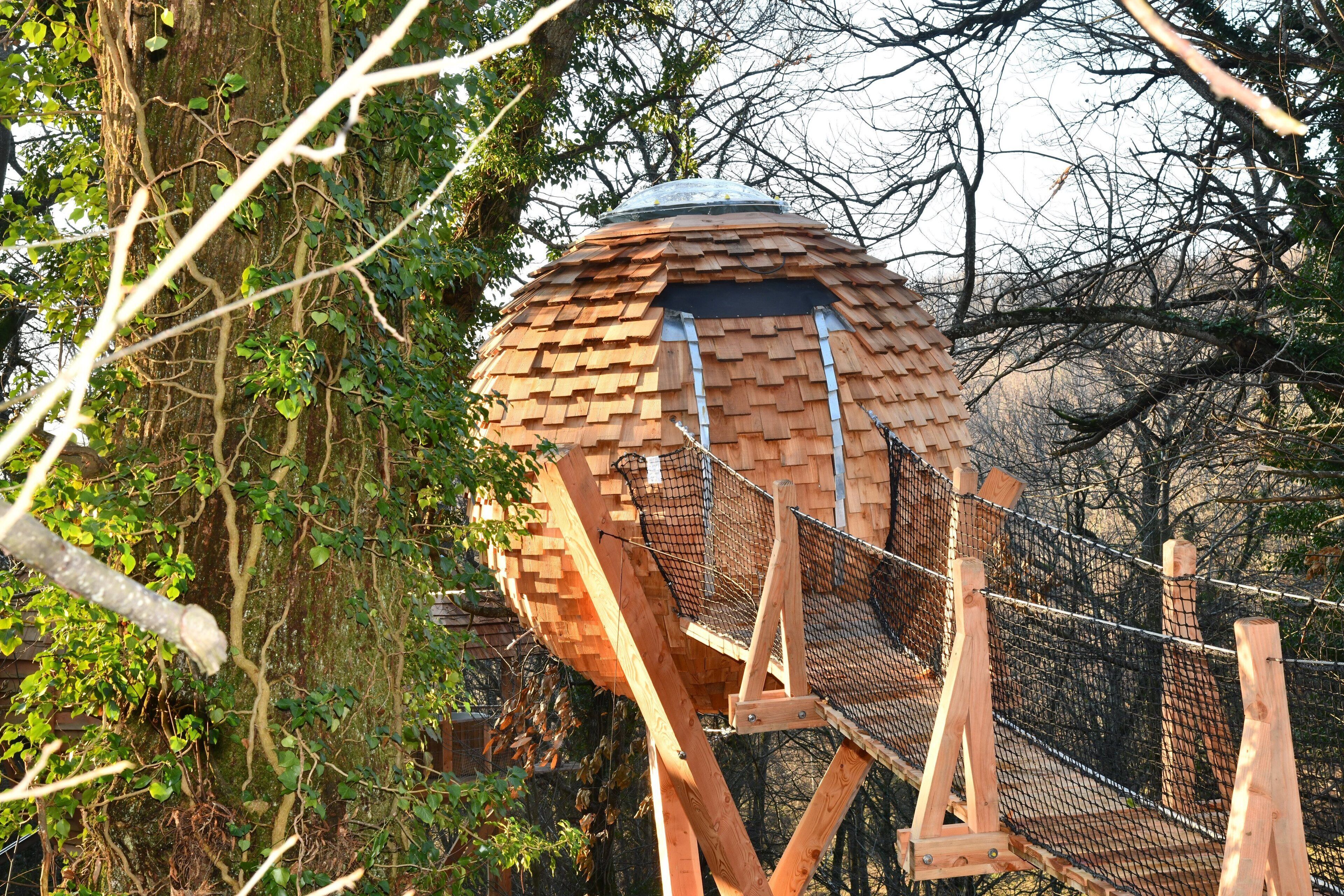 A wooden structure with a dome roof, surrounded by trees and a rope bridge.