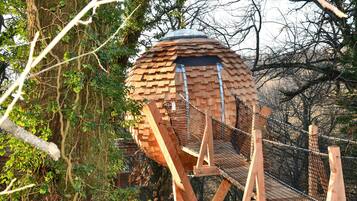 A wooden structure with a dome roof, surrounded by trees and a rope bridge.