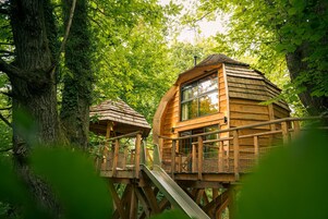 A wooden treehouse with a slide, surrounded by lush green foliage.
