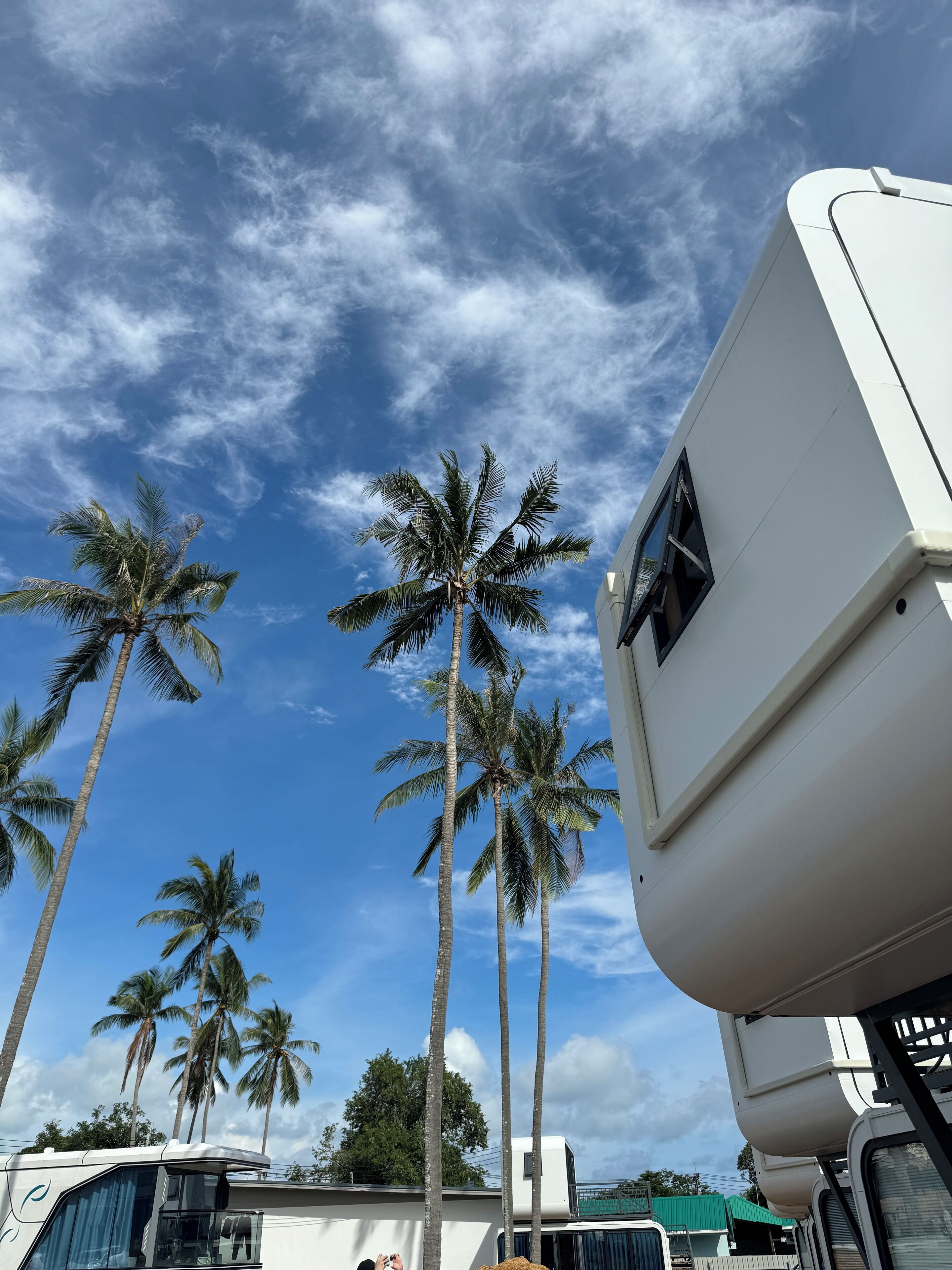 A white RV parked with palm trees in the background.