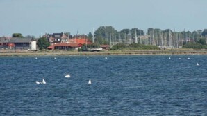 Eine Küstenansicht mit einer Marina, Segelbooten und Gebäuden entlang des Ufers.