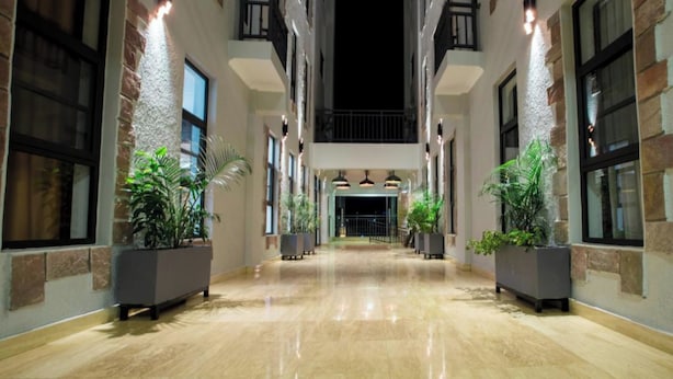 Un pasillo amplio y luminoso con piso pulido, flanqueado por ventanas grandes y plantas en macetas, que conduce a una zona central con balcón.