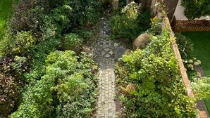 Un jardin avec un chemin de pierre menant à une porte, entouré d’une végétation luxuriante et bordé d’un mur de briques.