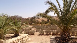 A desert landscape with palm trees and sparse vegetation. - Air-conditioned villa with private pool 15 minutes from the beaches (Essaouira)