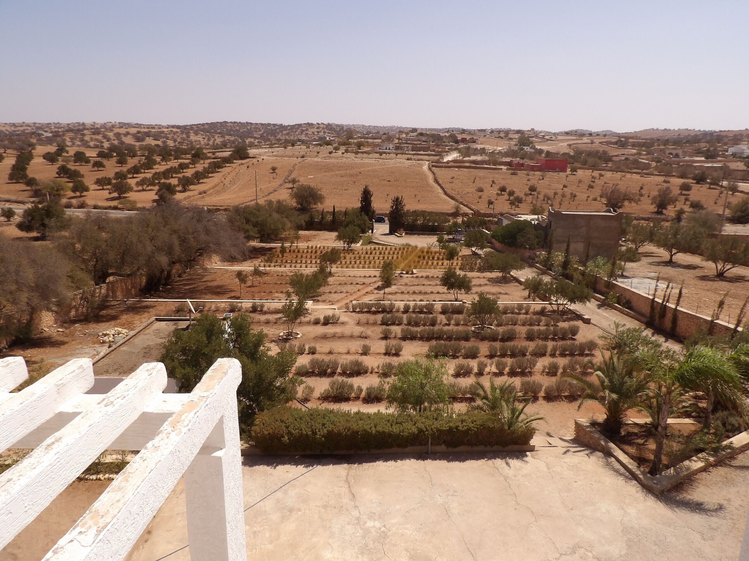 A view of a rural landscape with fields, trees, and a few buildings.
