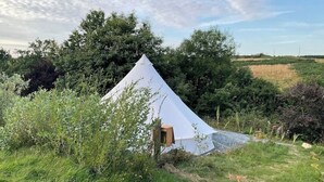 Uklassifisert bilde, 3 av 26, knapp
