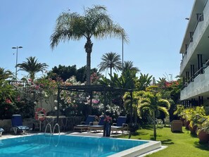 Una piscina con sillas de descanso y una pérgola cubierta de flores, rodeada de palmeras y un edificio.