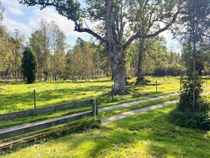 Ferienhaus | Aussenbereich
