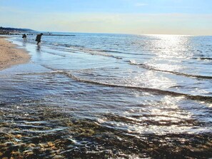 A beach with clear water and a sandy shore. - 10 Person Holiday Home in Graested (Graested)