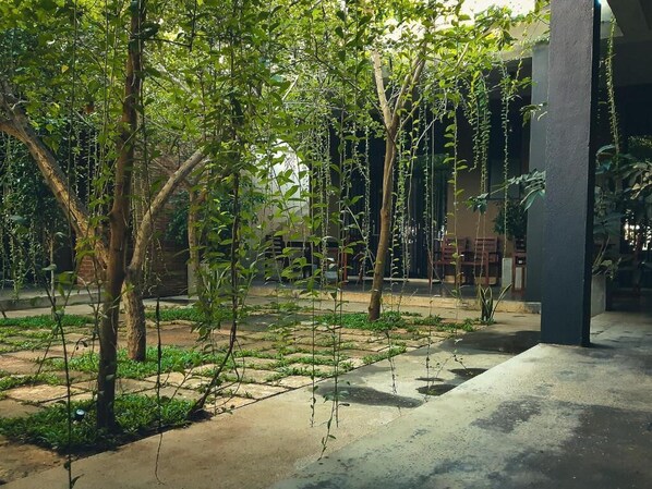 An outdoor courtyard with trees, a concrete pathway, and a building structure in the background.