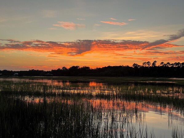 Un atardecer sobre una masa de agua tranquila, con el silueta de árboles y un horizonte lejano.