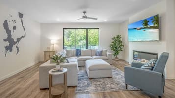 Smart TV, fireplace, books