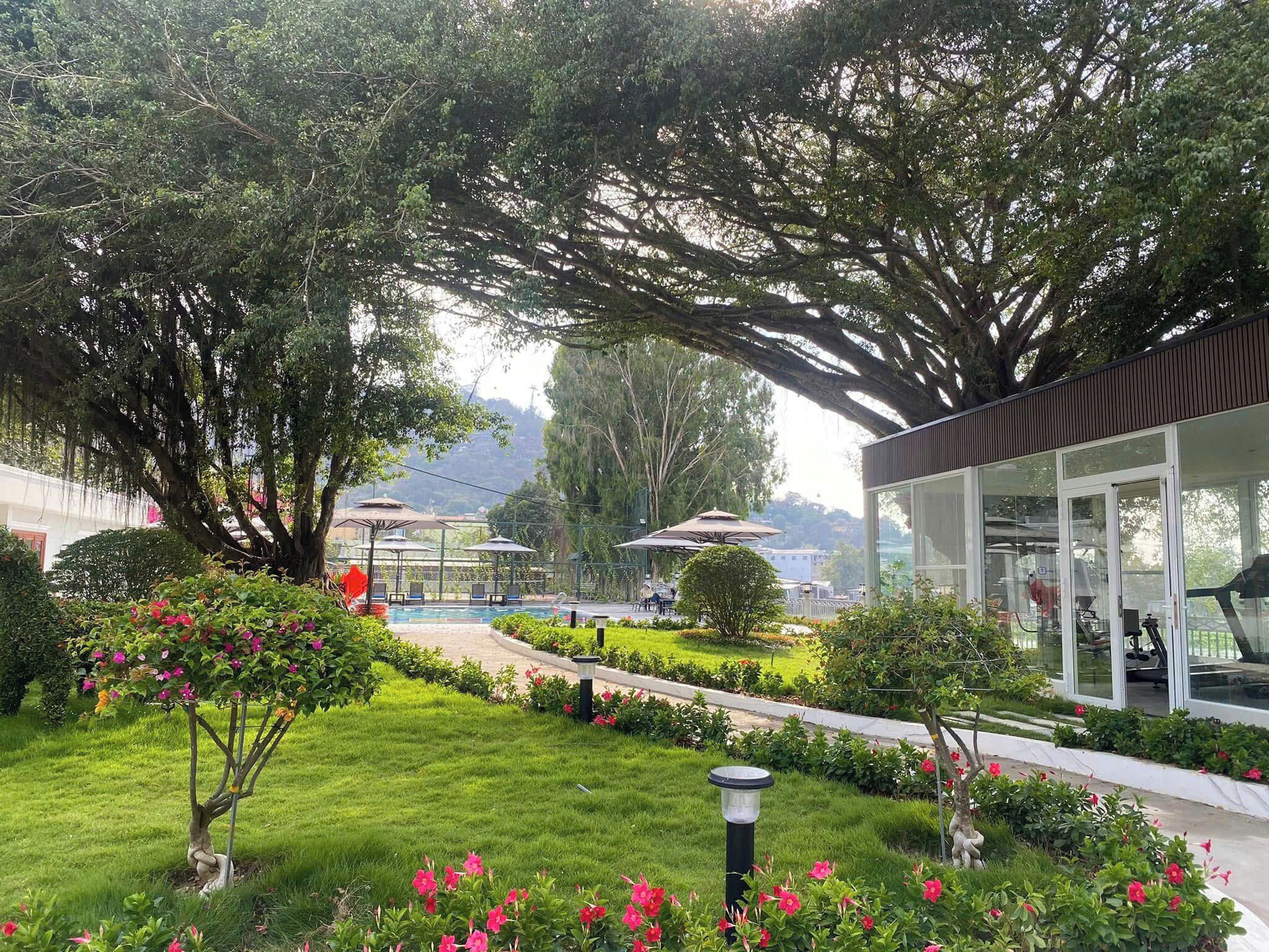 Quang cảnh nhìn từ nơi lưu trú