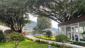 Un jardin avec une piscine, un espace salon extérieur et un bâtiment moderne doté de grandes fenêtres.