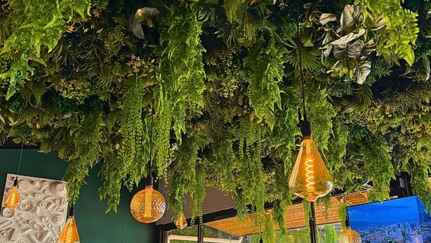 A restaurant interior with hanging plants, pendant lights, and a green wall with a textured design. - Casago | Beach & Marine Design Condo in Jacó (Jaco)