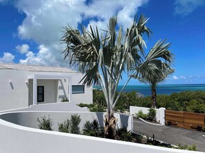 Property grounds - Skyline Villas - Villa Pluto with Private Pool (Providenciales)