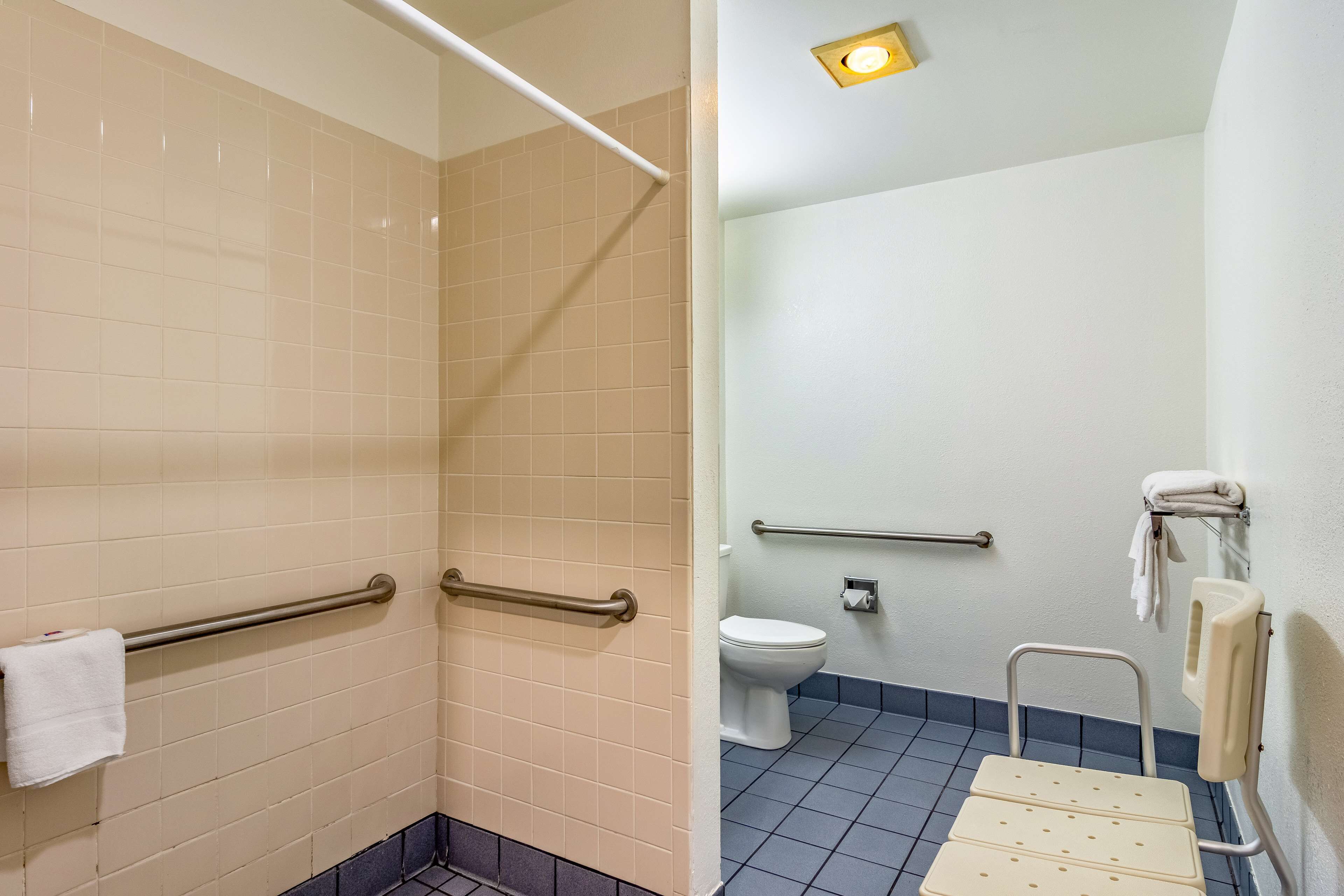 A bathroom with a shower, toilet, and grab bars.