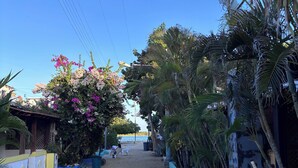 A sandy pathway leading to a beach area with palm trees and a building with a blue exterior. - Casa Turquesa (Los Roques)