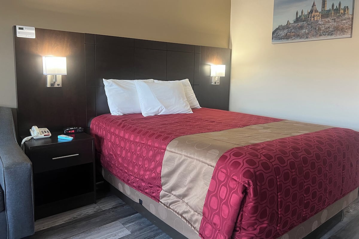 Singola Standard, 1 letto queen, non fumatori | Biancheria da letto di alta qualità, postazione laptop
