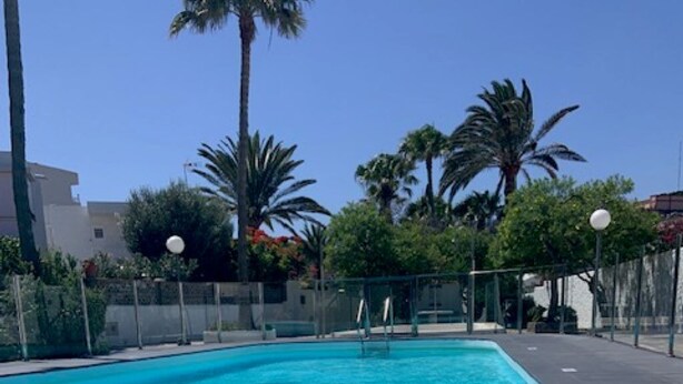 Une piscine rectangulaire à l’eau d’un bleu cristallin, entourée d’une clôture et de palmiers.