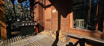 Oceana Suites Corralco