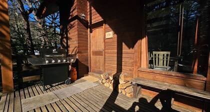 Oceana Suites Corralco