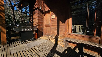 Oceana Suites Corralco