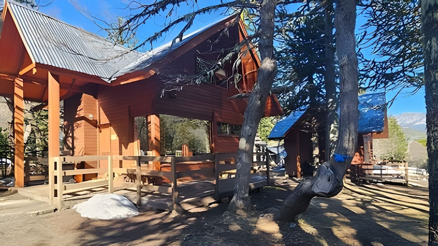 Oceana Suites Corralco