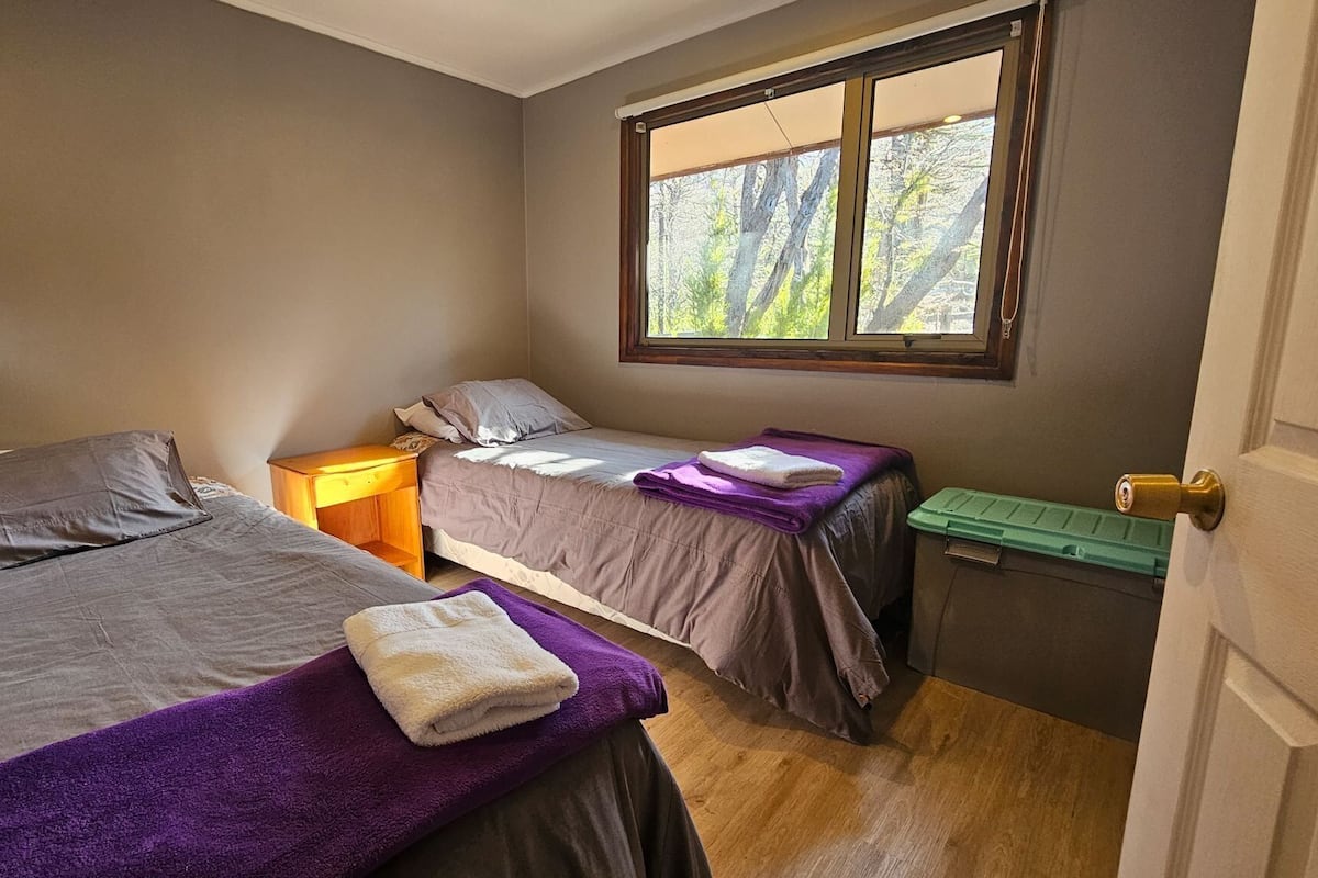 Ein Schlafzimmer mit zwei Betten, einem Fenster mit Blick auf Bäume, einem Nachttisch mit Lampe und einem grünen Mülleimer.