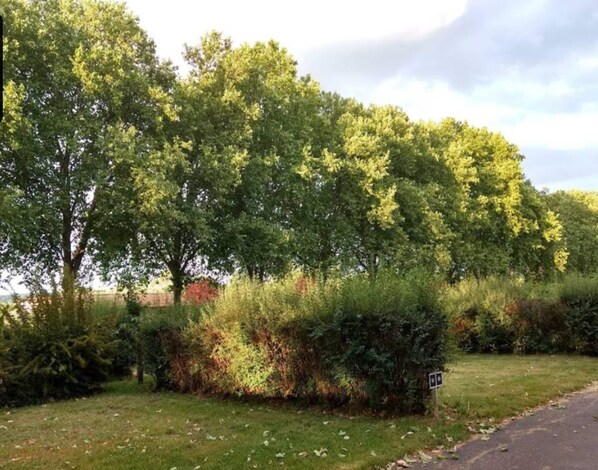 獨棟房屋 | 住宿景觀