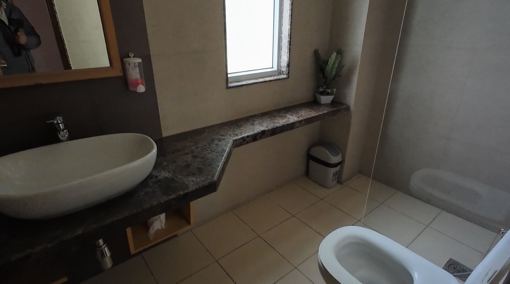A bathroom with a large white sink, a mirror, a window, a small shelf with a plant, a trash bin, and a bathtub.