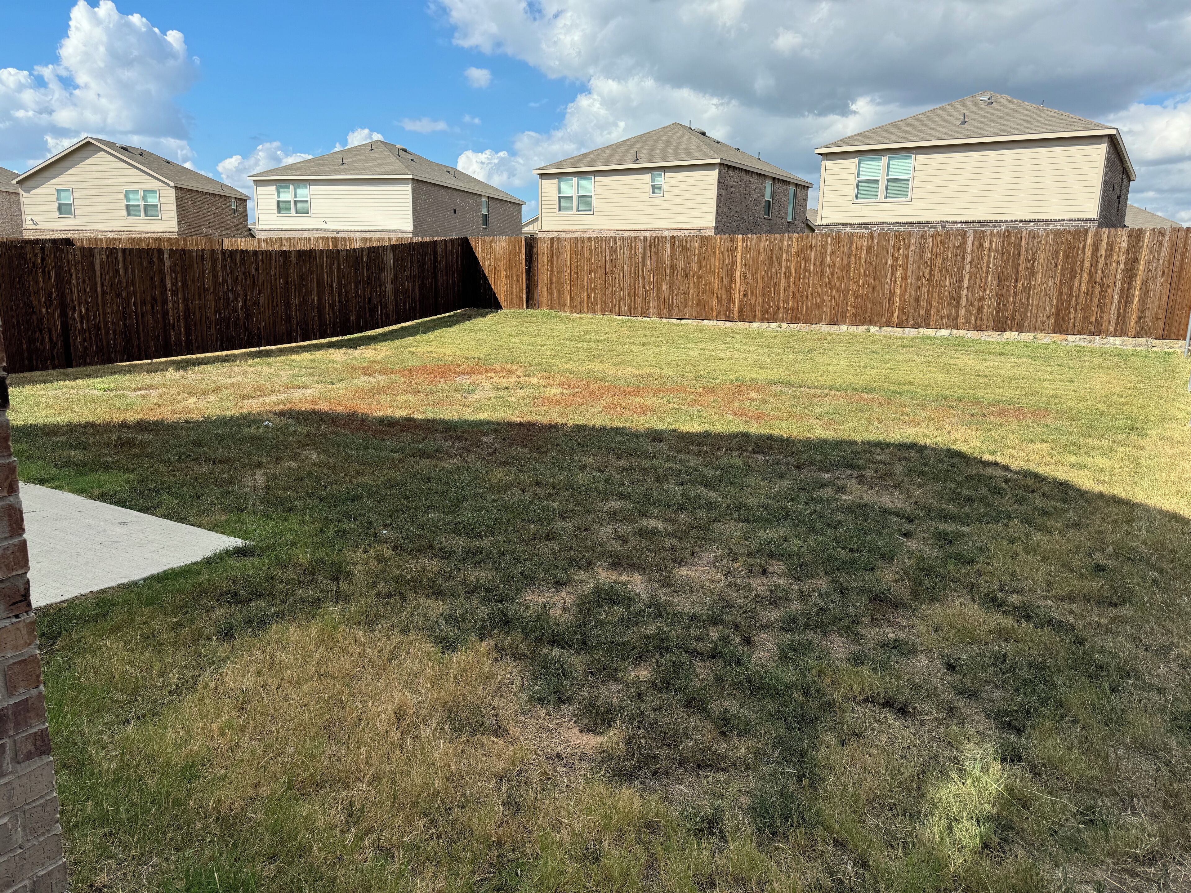A backyard with a wooden fence, a brick wall, and a grassy lawn.