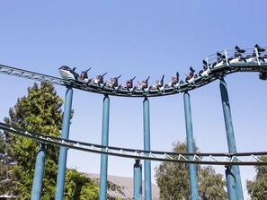 A roller coaster with passengers seated in rows, supported by tall blue pillars, and surrounded by trees.