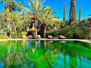 A pool surrounded by palm trees and cypress trees, with lounge chairs and umbrellas.