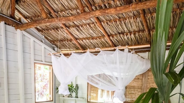 Une pièce rustique avec un toit de chaume, un canapé en osier, une table en bois et une grande plante.