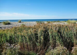 Apartment | View from property