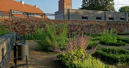 Terrace Apartment Saxony