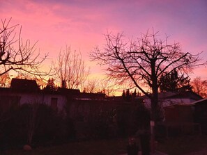 Un quartier résidentiel avec des maisons et des arbres sans feuilles, au coucher du soleil.