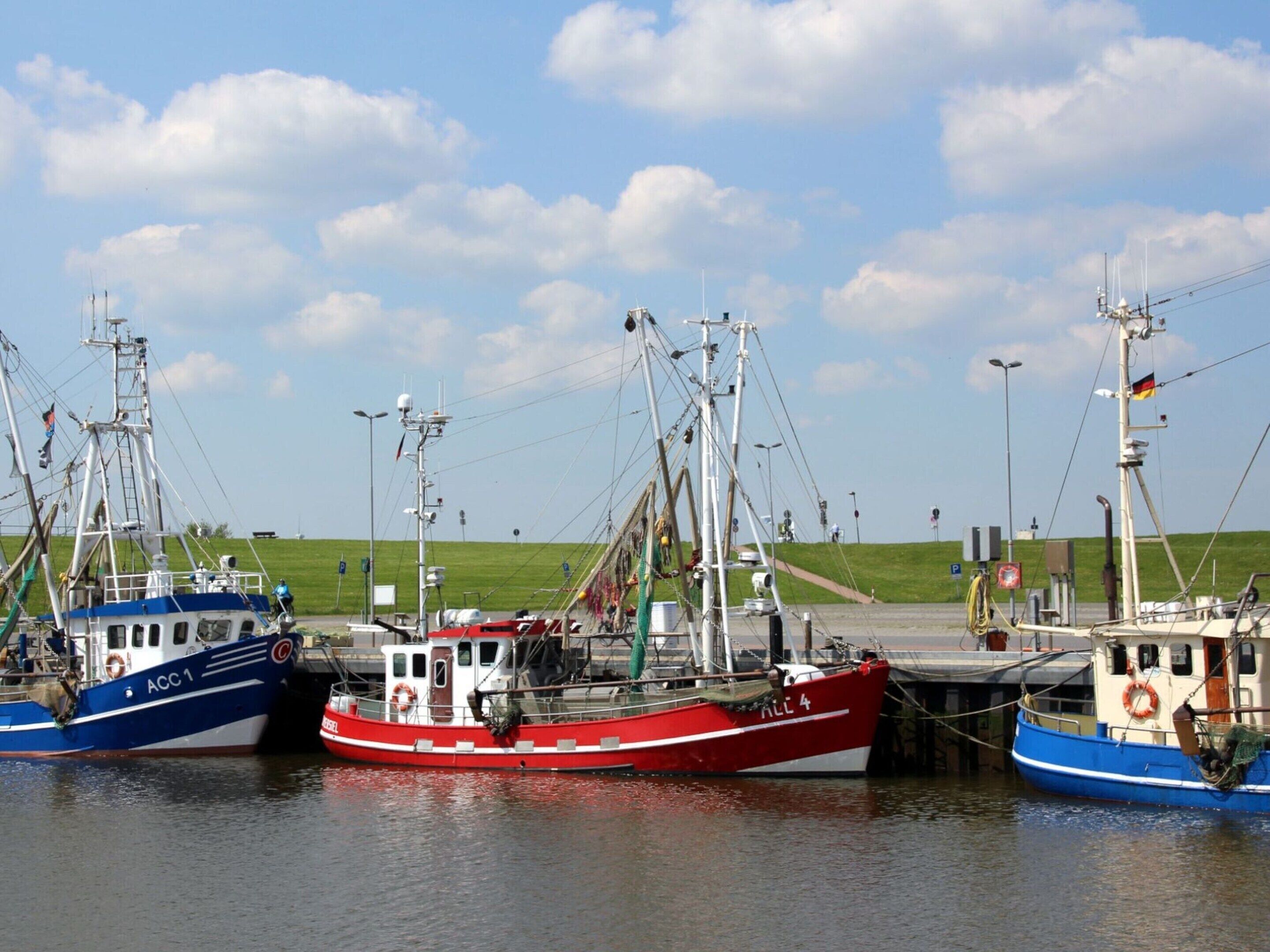 Talo | Näkymä majoituspaikasta