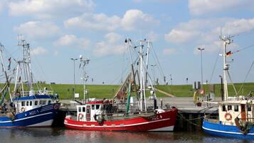 Talo | Näkymä majoituspaikasta