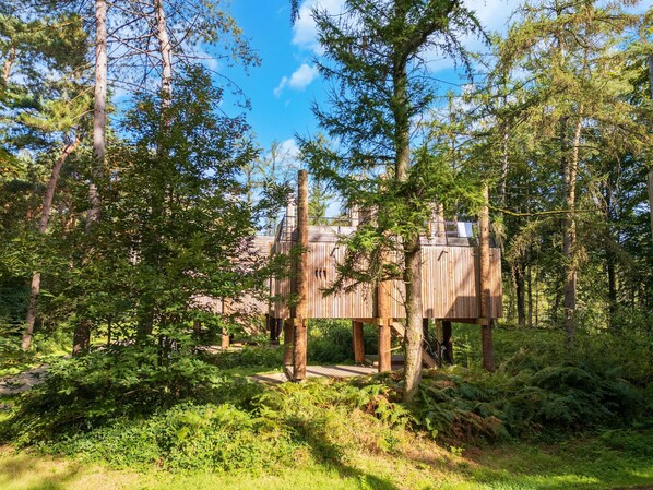 House | Exterior - Award-winning Forest Stay (Antoing)