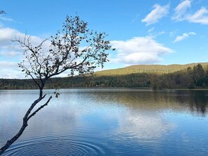 Vista al agua