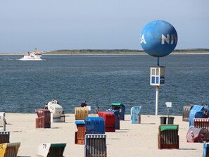 En strand med nummererede strandstole og et redderobservatorium.