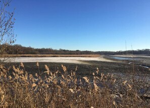 House | View from property