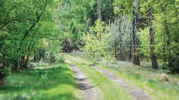 House | View from property